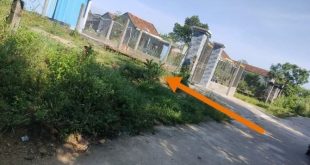 Bán đất Nghĩa Thuận giá rẻ 6x40 giá chỉ 430 triệu