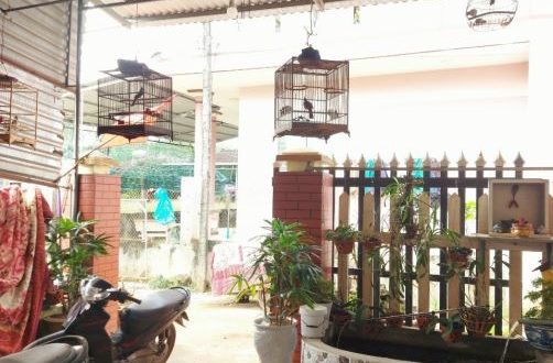 Bán nhà hẻm Trần Văn Trà giá an cư