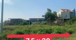 CẦN BÁN GẤP LÔ ĐẤT TỊNH HÀ DIỆN TÍCH (7,5X20) FULL ĐẤT Ở