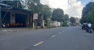Mặt tiền kinh doanh đường chinh Tô Hiến Thành