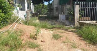 BÁN LÔ ĐẤT MẶT TIỀN TẾ HANH GIÁ 2.2 TỶ TRÊN CẦU THẠCH BÍCH