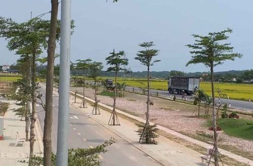 Bán đất tại dự án Thi Phổ center, Xã Đức Thạnh, Huyện Mộ Đức, Tỉnh Quảng Ngãi