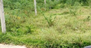 Bán lô đất 5,3x38m đường Ô tô, Hành Đức, Nghĩa Hành