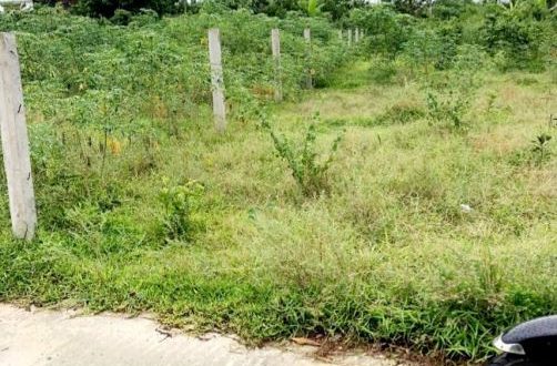 Bán lô đất 5,3x38m đường Ô tô, Hành Đức, Nghĩa Hành