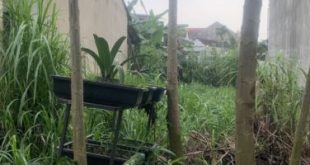 Bán lô đất 98m2, hẻm Hoàng Văn Thụ,  ô tô thông, Hk Quảng Phú