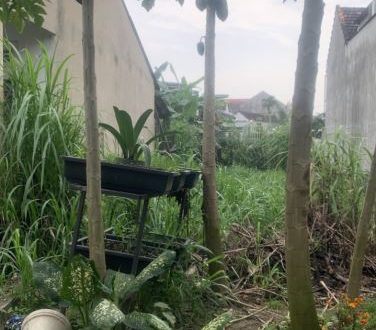 Bán lô đất 98m2, hẻm Hoàng Văn Thụ,  ô tô thông, Hk Quảng Phú