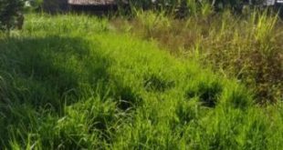 Bán lô đất Tịnh Ấn Đông giá chỉ 4xx triệu nhỏ