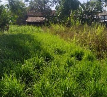 Bán lô đất Tịnh Ấn Đông giá chỉ 4xx triệu nhỏ