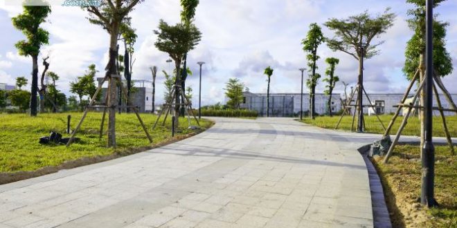 CHỦ CẦN TIỀN BÁN GẤP ĐẤT GIÁ  RẺ  tại KĐT Phú Mỹ Quảng Ngãi. ĐƯỜNG 17.5M GẦN CÔNG VIÊN