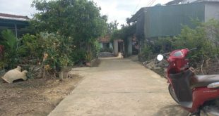 Cần bán nhanh lô đất Tịnh An, chủ hạ giá bán nhanh đoạn dưới cầu đập dâng