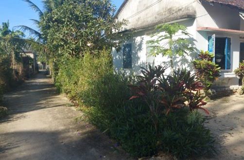 Chủ cần tiền bán nhà Tịnh Hà Dt 380m2 ( 15x25) Hướng Nam. Đường bê tông thông.