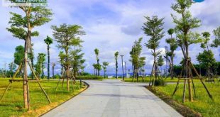 MỞ BÁN BIỆT THỰ VIEW SÔNG TẠI KĐT PHÚ MỸ. GIÁ GỐC CĐT, ĐÃ CÓ SỔ HỒNG CHIẾT KHẤU CAO.