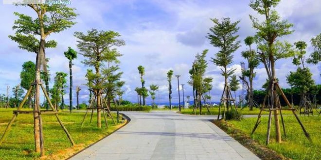MỞ BÁN BIỆT THỰ VIEW SÔNG TẠI KĐT PHÚ MỸ. GIÁ GỐC CĐT, ĐÃ CÓ SỔ HỒNG CHIẾT KHẤU CAO.