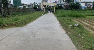 cần bán lô đất xã Tịnh An, Quảng Ngãi cách ql 24B 100m vào đất, ô tô chạy thoải mái