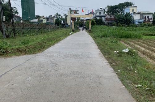 cần bán lô đất xã Tịnh An, Quảng Ngãi cách ql 24B 100m vào đất, ô tô chạy thoải mái
