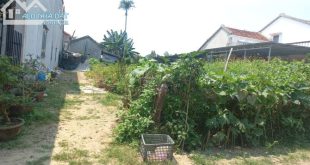 Bán 2 lô liền kề 208m2 mặt tiền hẻm bê tông Ô tô thông, cách Trường Sa 100m