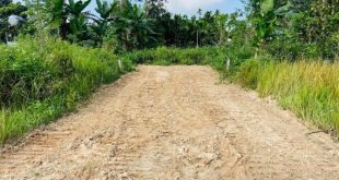 Bán đất Quảng Phú, Tp Quảng Ngãi giá rẻ chỉ 390tr thích hợp cho vợ chồng trẻ an cư, đầu tư