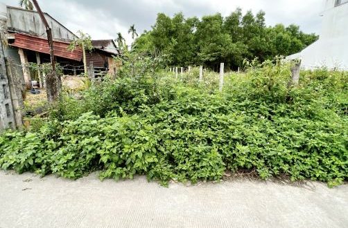 Bán lô đất đẹp 5x27m, hướng nam, đường bê tông 4m ô tô thông