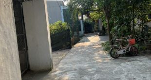 Bán nhà cấp 4 còn mới, kiên cố, Dt. 5x20m, hướng Bắc lệch tây, Hk. Điền Chánh, Nghĩa Điền