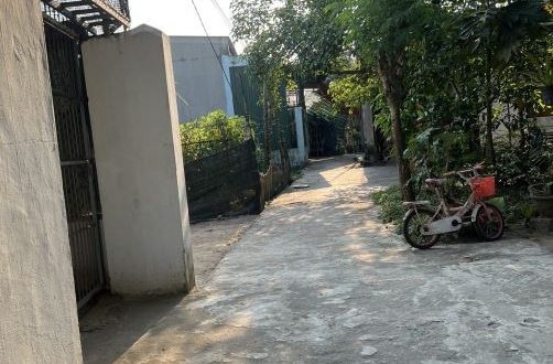 Bán nhà cấp 4 còn mới, kiên cố, Dt. 5x20m, hướng Bắc lệch tây, Hk. Điền Chánh, Nghĩa Điền