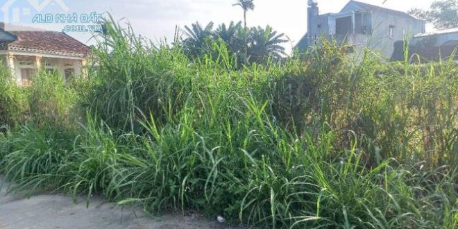 Bán vườn 600m2 (20x30)m đường Ô tô thông, Nghĩa Dũng, tp Quảng Ngãi