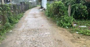 CẦN BÁN 390M2 ĐẤT PHONG  NIÊN HẠ,TỊNH PHONG,HÀNG CHÍNH DÂN CHƯA QUA ĐẦU TƯ