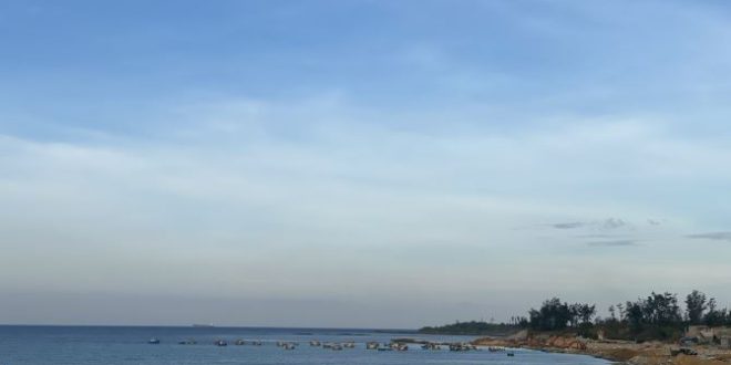 bấn 1944m2 đất trồng keo gần biển 3km, xã bình sơn, bình hải quảng ngãi 260tr