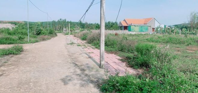 bán đất bình sơn giá rẻ cho nhà đầu tư