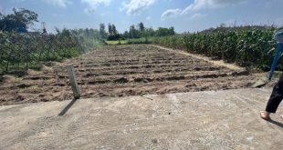 BÁN LÔ ĐẤT 141m2 FUll THỔ CƯ- TỊNH THIỆN - TP QUẢNG NGÃI