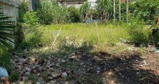 Bán đất hẻm 363 Nguyễn Trãi giá rẻ chỉ 980 triệu