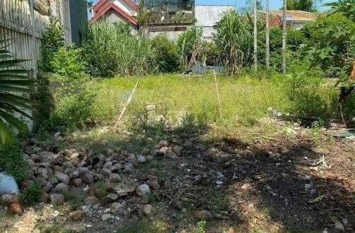 Bán đất hẻm 363 Nguyễn Trãi giá rẻ chỉ 980 triệu