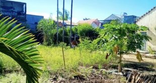Bán lô đất 5x19m hẻm Nguyễn Trãi rộng 6m5, Ô tô tải vào tới đất