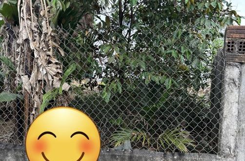 Bán lô đất 5x19m hẻm ô tô 180 Hoàng Hoa Thám, P Quảng Phú