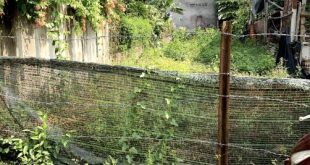 Bán lô đất đẹp, 5x24,6m hướng nam, đường ô tô 7 chỗ, Điền Hòa, Nghĩa Điền
