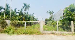 Cần bán mảnh vườn 340m2 mặt tiền đường 9 mét xã Nghĩa Trung, Tư Nghĩa.