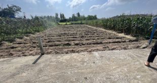 Chỉ hơn 400tr sở hữu lô đất full thổ cư Tịnh Thiện, TP.Quảng Ngãi