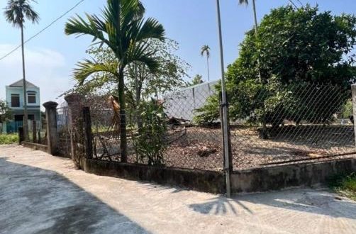???? Chủ cần tiền bán gấp Lô góc Nghĩa Chánh đất dân chưa qua đầu tư