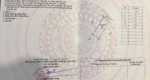 BÁN LÔ ĐẤT Ở TẠI TRUNG TÂM TT CHÂU Ổ, CÁCH KDC ĐÔNG NAM CHỈ 50M