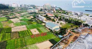 Bán Đất Đảo Lý Sơn Cách biển 50m đối điện bến tàu du lịch Được Quy hoạch phóng đường 30m