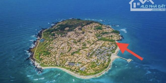 ????????Bán Đất đảo Lý Sơn lô đất cực đẹp view biển xịn sò chỉ 1tr/m2