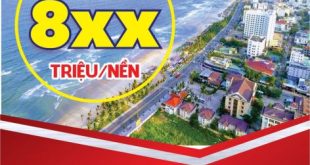 ĐẤT NỀN VEN BIỂN GIÁ RẺ QUẢNG NGÃI