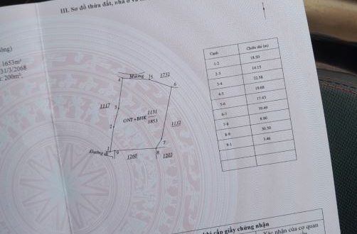 Bán gấp 1853m² đất Vường shr. Có 200m² đất thổ cư. Bình Tân Phú, Bình Sơn. Gần suối cực đẹ