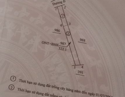 Cần bán lô đất Bán Gấp Đất 1 Lô Đất Liền Kề 322m2 Mặt Tiền Vị Trí Đẹp Tại Tư Nghĩa Quảng N