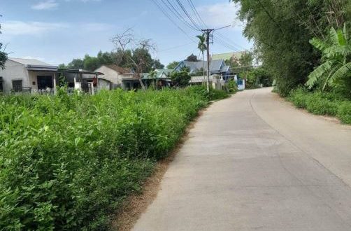 Chủ Ngợp Bank Hạ Giá Bán Gấp Lô Đất Mặt Tiền Tịnh Thiện đường đi Tịnh Hoà. Gần 200m2