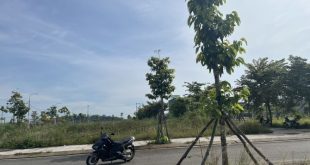 Chủ đang rất cần tiền cắt lỗ nhanh 1 lô Dự Án Tăng Long  - Tịnh Long TP Quảng Ngãi.