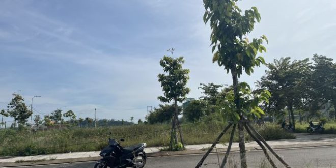 Chủ đang rất cần tiền cắt lỗ nhanh 1 lô Dự Án Tăng Long  - Tịnh Long TP Quảng Ngãi.