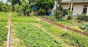 Bán lô đất 5x35m, Hướng Đông, Hẻm xe tải Hoàng Hoa Thám , P Quảng Phú