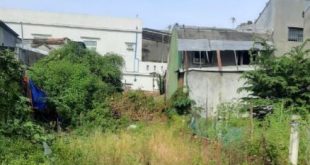 Bán lô đất đẹp 5,2x22m Hướng Tây, Hẻm 900 Quang Trung