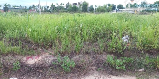 Bán lô đất đẹp 8x13m mặt tiền đường nhựa 11m, Hk. Quảng Phú