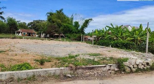 Cần bán gấp 3 lô đất xã Bình Thanh